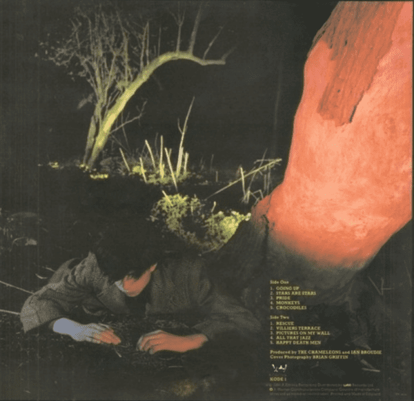 Echo And The Bunnymen - Crocodiles (back)