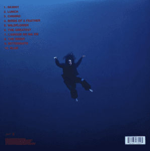 Billie Eilish - Hit Me Hard And Soft (back)